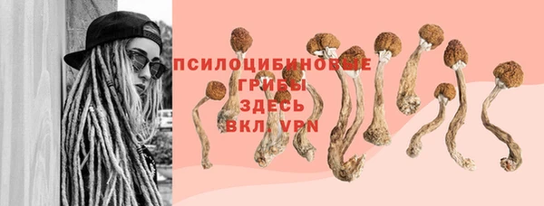 дурь Гусь-Хрустальный