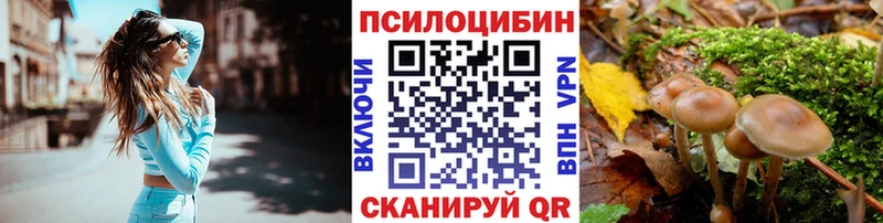 Купить где  Навашино  Галлюциногенные грибы Cubensis 