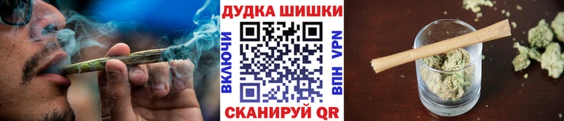 Конопля сатива  Купить  Навашино 